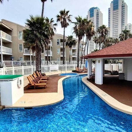 Gulfpoint 3103 Condominium Condo South Padre Island Eksteriør billede